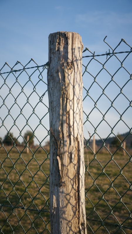 Fence Post Repair