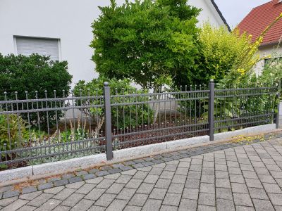 Decorative Metal Fence