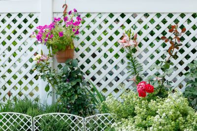 Pvc Lattice Fence Installation
